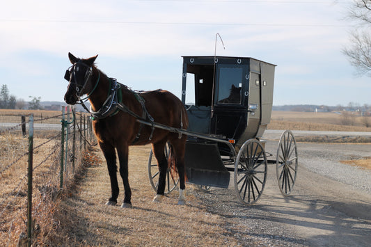 Amish & Mennonites